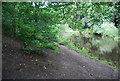 River Nidd, Nidd Gorge