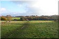 Footpath across Scadbury Park