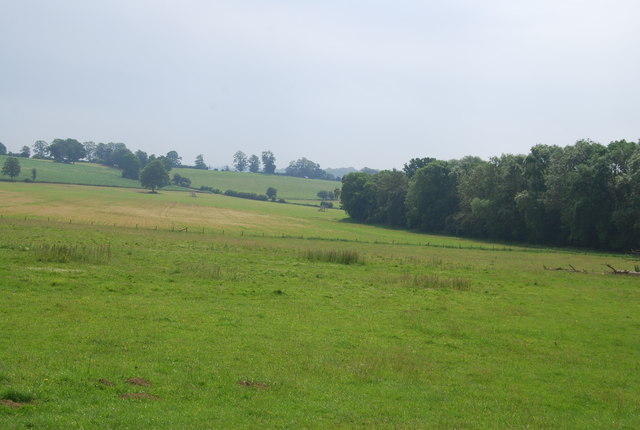 Penshurst Park © N Chadwick cc-by-sa/2.0 :: Geograph Britain and Ireland