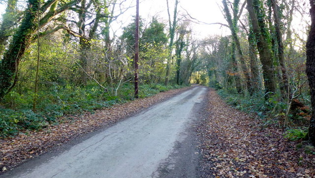 Lower Common Road