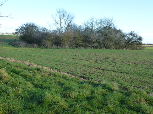 Wooded marl pit east of Great Massingham airfield