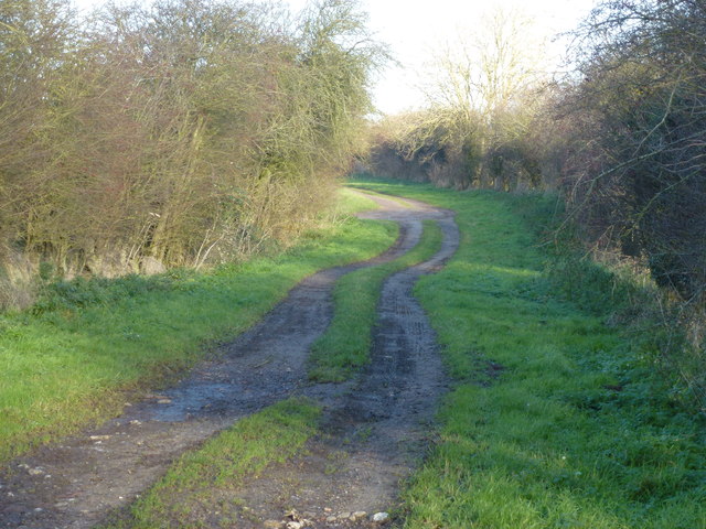 Farmland track east of Great Massingham