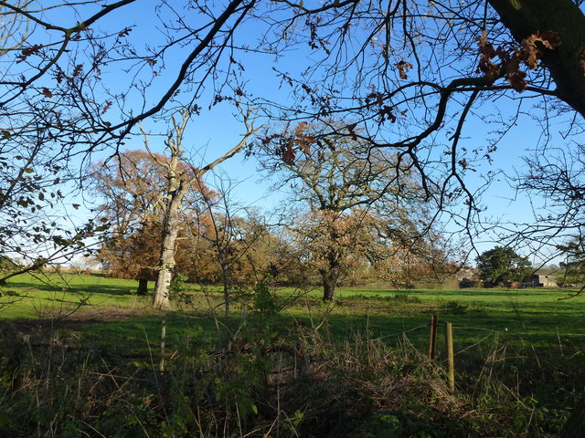 Parkland near Kimpton Ash Farm