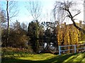 Pond, Pennyfathers Lane