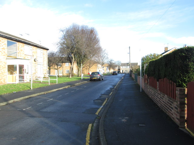 Thornleigh Drive - viewed from Thornleigh Crescent