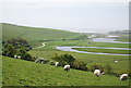 TV5299 : Cuckmere River meanders by N Chadwick