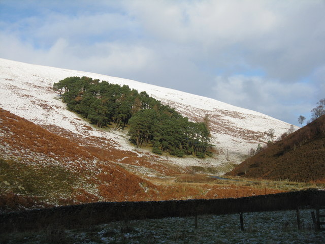 The valley of the Glentress Water