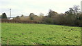 Field on the outskirts of Usk