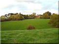 Forhill House, Forhill, from Lea End Lane