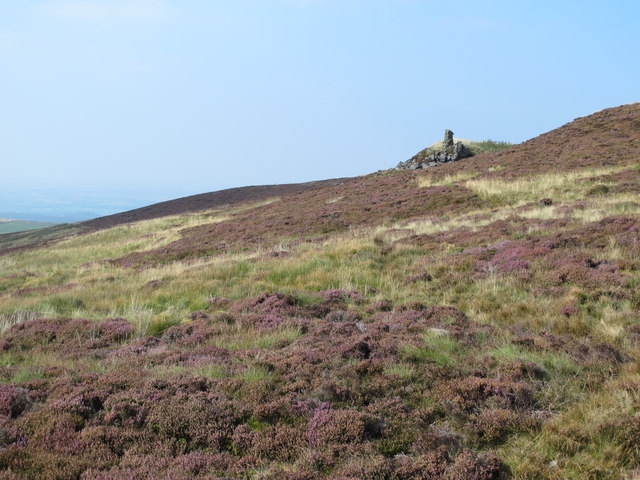 The southern slopes of Brown Fell