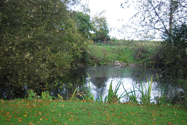 Pond in Runhall