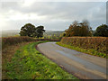 A viewpoint on Lea End Lane below Forhill