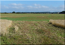 TF6836 : Farmland on the edge of Heacham by Mat Fascione