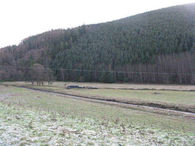 The Heriot Water and Lady's Wood