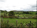 Grazing land in the upper reaches of the Drumadonnell valley