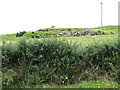 Rock outcrop at Scotch Rock Farm on the west side of Slieveboley Road