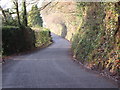 Road south of Hungerford