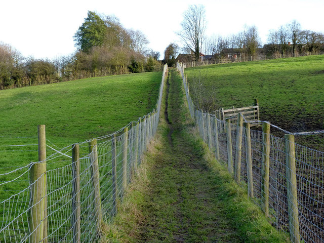 Field footpath near Skegby Hall