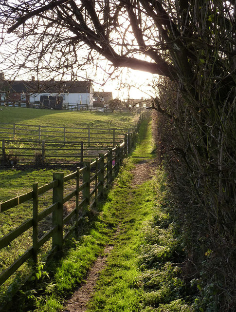 Sunlit footpath