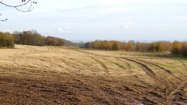 Stubble field and woodland