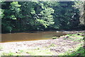 River Nidd, Nidd Gorge