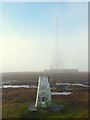 SD6514 : Ordnance Survey Trig pillar on Winter Hill by Gary Rogers