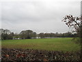 One of several reservoirs above Withnell Fold