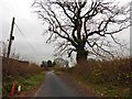 Leaving the B4203 to The Oast House holiday cottage