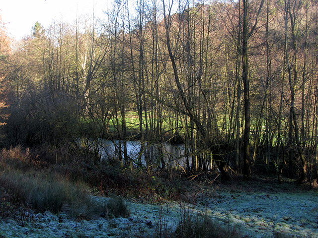 Wooded pond near Waren Burn