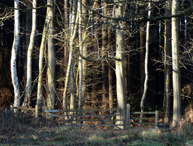Gateway to Claypit Wood, Clumber Park