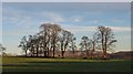 Roadside fields at Ardgate