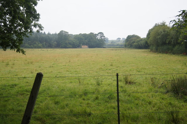 Pasture at Moormill