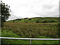 View across the upper Drumadonnell valley to the Slievenaboley ridge