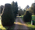 Tree-lined path into Gillingham Garden of Remembrance