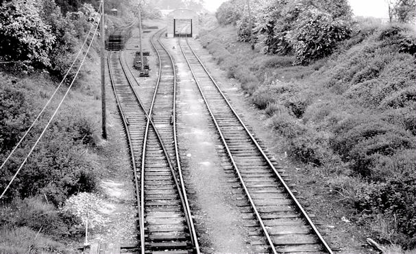 Buckie's siding, Drogheda (May 1982)
