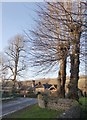 View from the churchyard, Seale