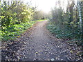 Path in Gillespie Park