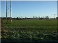 Crop field and power lines