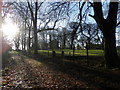 Grounds of Affleck Castle