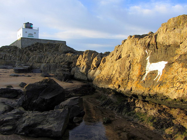 The Stag at Blackrocks Point