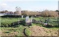 Footbridge over Ferring Rife