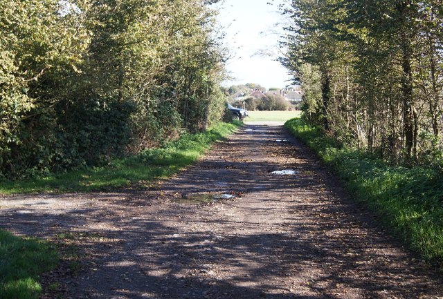 Lane by East Kingston Farm