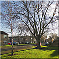 Lichfield Road on a winter afternoon 