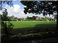 Village cricket match, Stock near Chelmsford