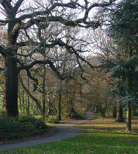 Path, Beckenham Place Park
