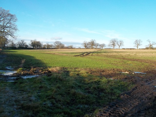 Footpath and Field near Cubley Common