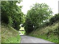 Lighthouse Road descending southwards towards the junction with Millvale Road