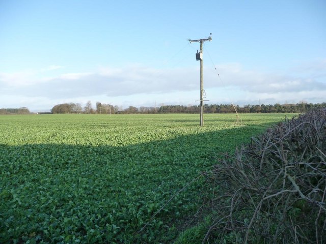 Electricity pole at Spring House Farm