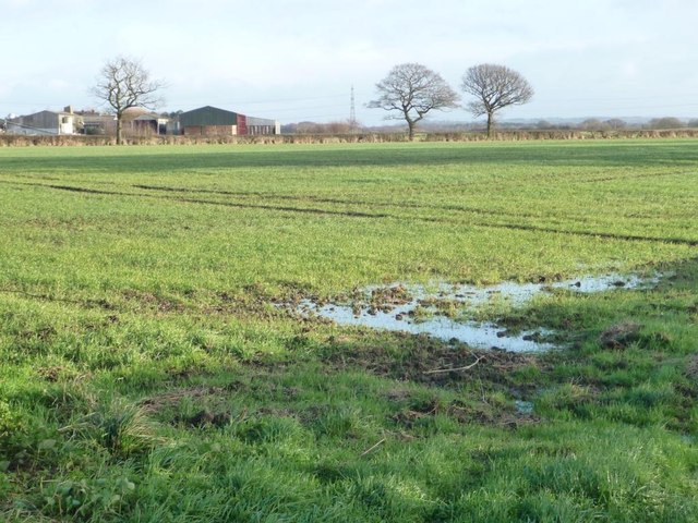 Partly waterlogged field, east of Ewe Hole Lane