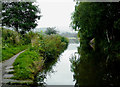 Macclesfield Canal at Lyme Green, Cheshire